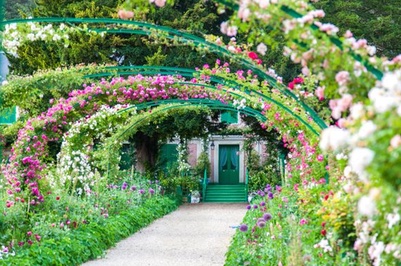 Giverny-Iris-401X266