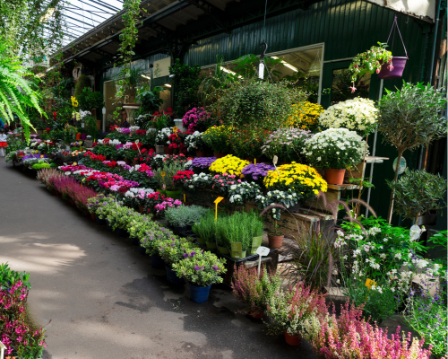 marché aux fleurs